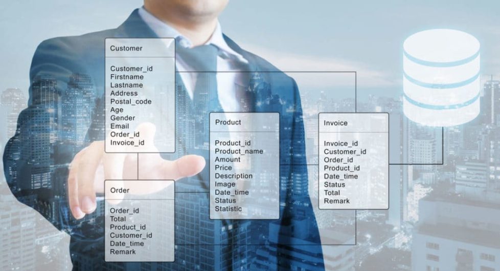 CIS professional mapping out a database